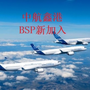 中航鑫港BSP新加入
